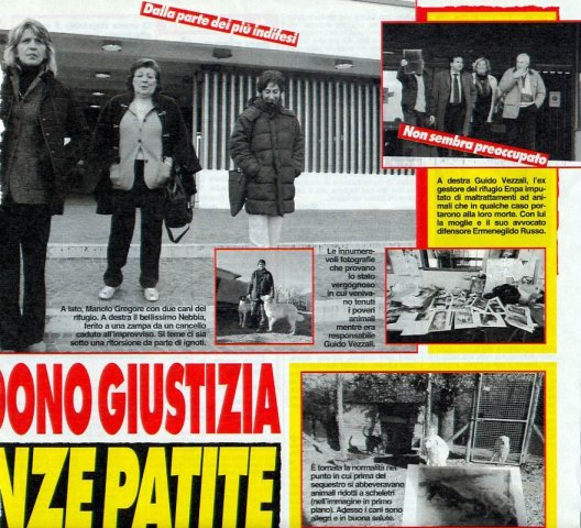 canileVITERBO 3 feb2009